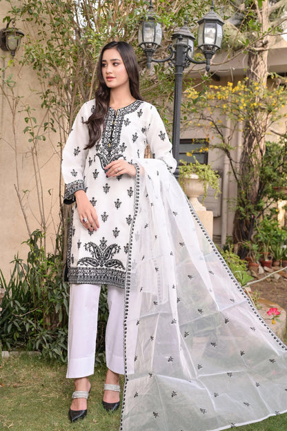 Raunak - Pearl White Embroidered Organza 3 Pec